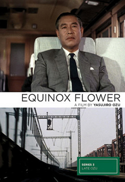 Equinox Flower