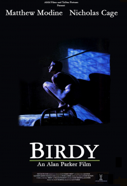 Birdy