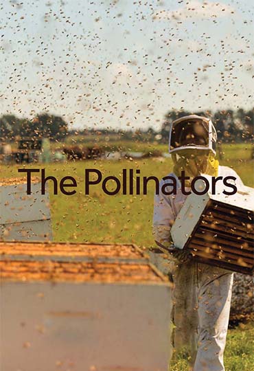 The Pollinators