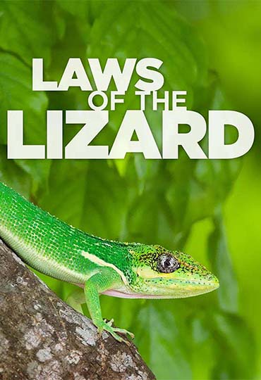 Laws of the Lizard