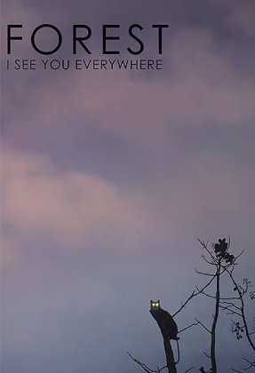 Forest: I See You Everywhere