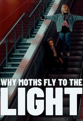 Why Moths Fly to the Light?