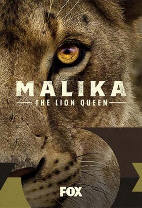 Malika the Lion Queen