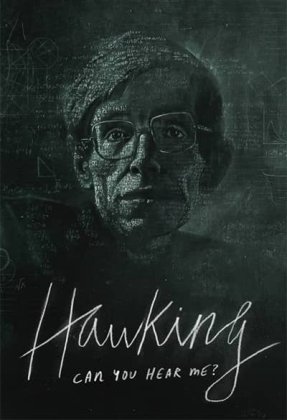 Hawking: Can You Hear Me?