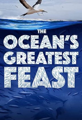 The Ocean's Greatest Feast