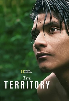 The Territory