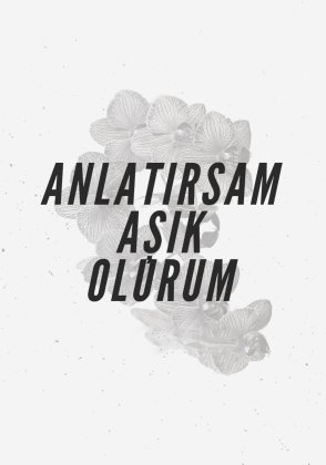 Anlatirsam Asik Olurum