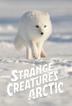 Strange Creatures of the Arctic