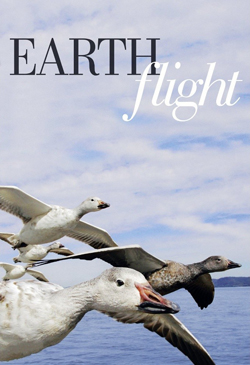 Earthflight