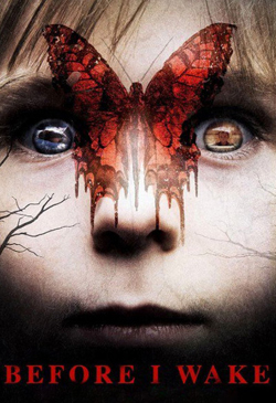 Before I Wake