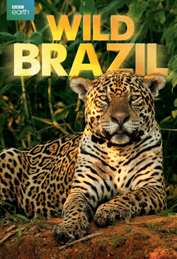 Wild Brazil