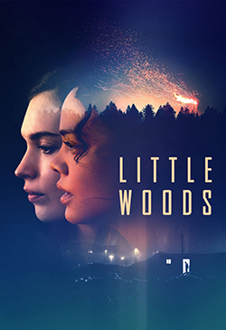 Little Woods