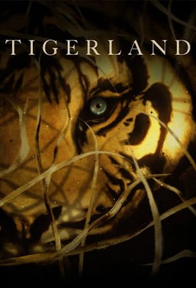 Tigerland