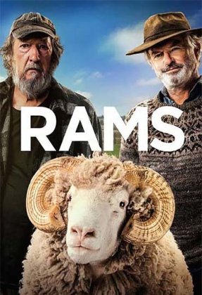 Rams