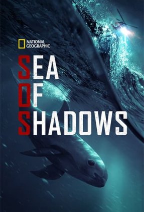 Sea of Shadows